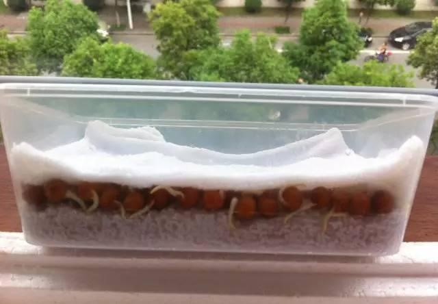 1541216397943123.jpg 5.jpg